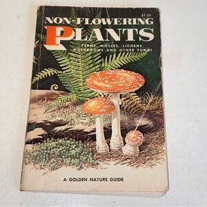 1967 Non-Flowering Plants A Golden Nature Guide Mushrooms Ferns Mosses